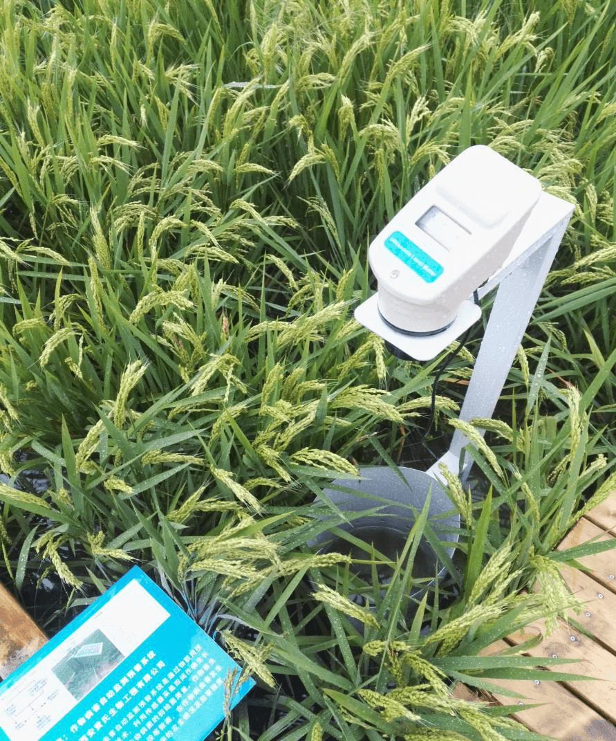 智慧農(nóng)業(yè)遠(yuǎn)程云監(jiān)測(cè)系統(tǒng)